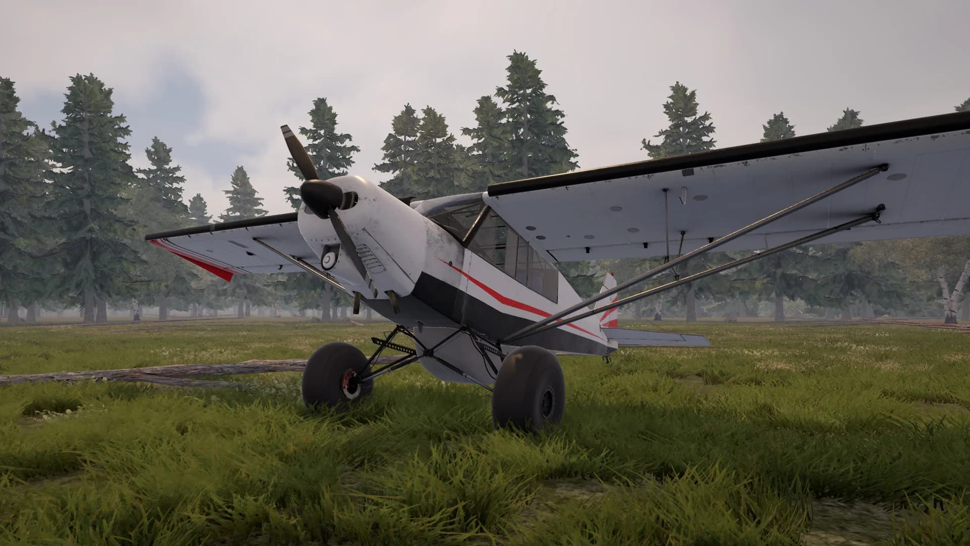 Deadstick - Bush Flight Simulator görsel 8