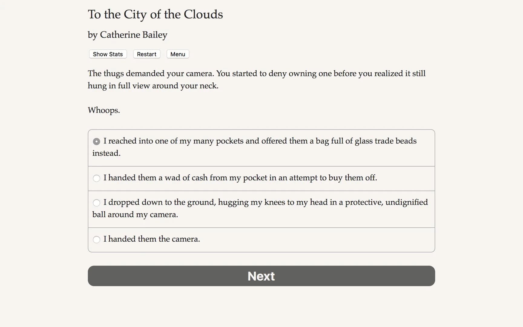 To the City of the Clouds görsel 4