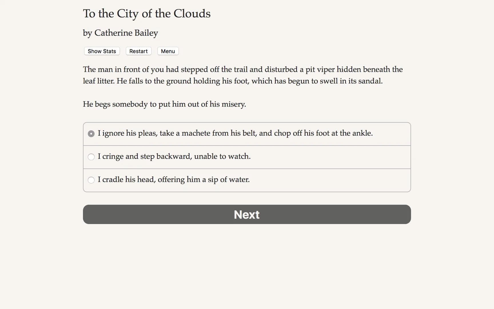 To the City of the Clouds görsel 5
