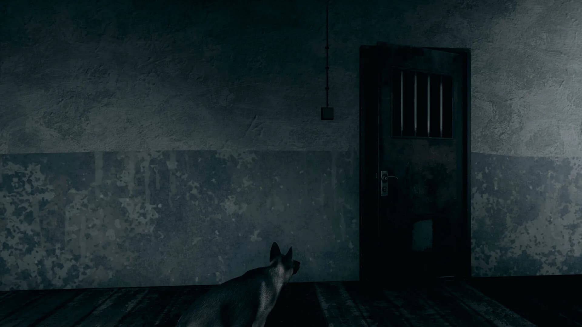 PsyX görsel 14