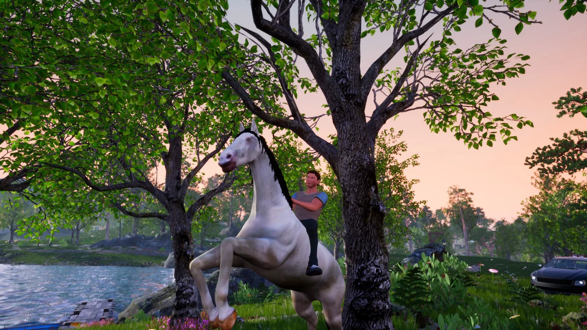 Horse Riding Deluxe görsel 5