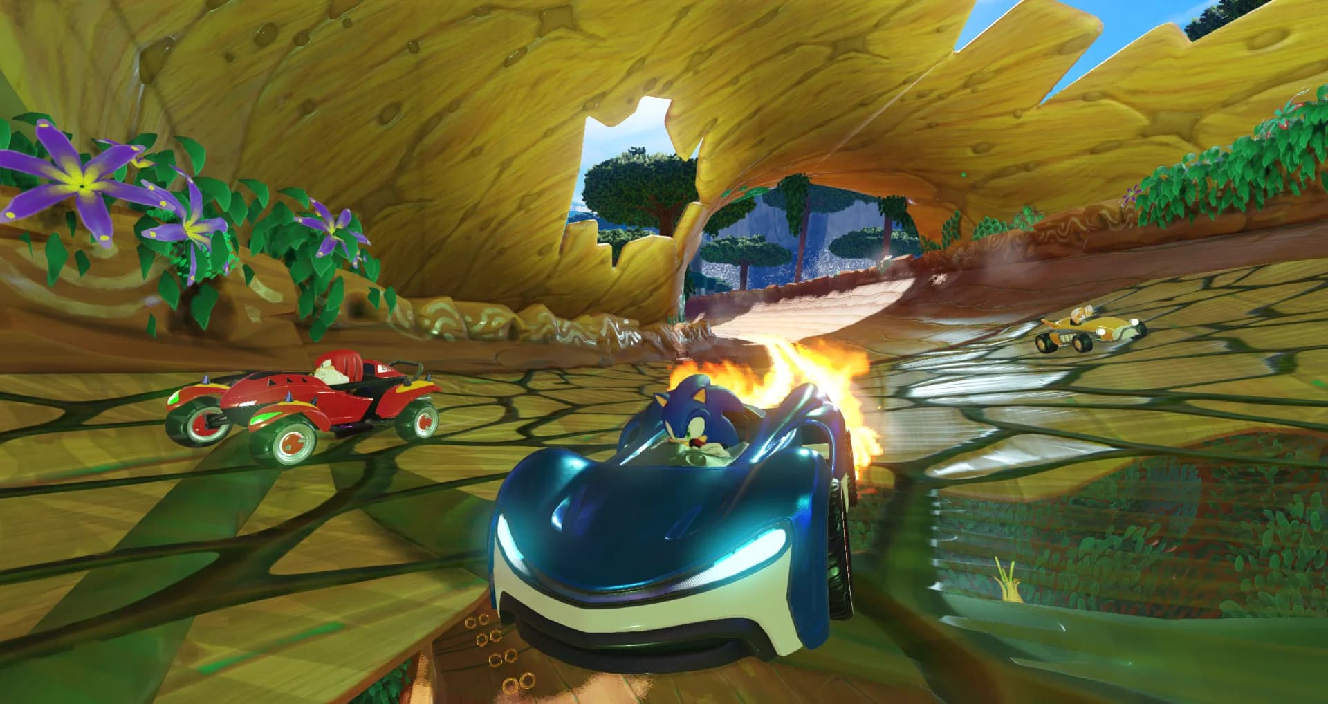 Team Sonic Racing™ görsel 4