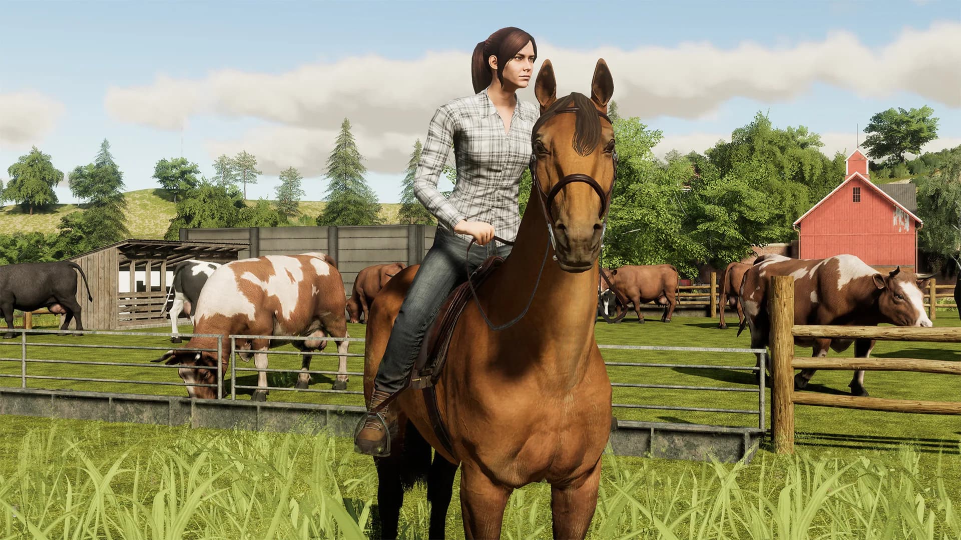 Farming Simulator 19 görsel 4