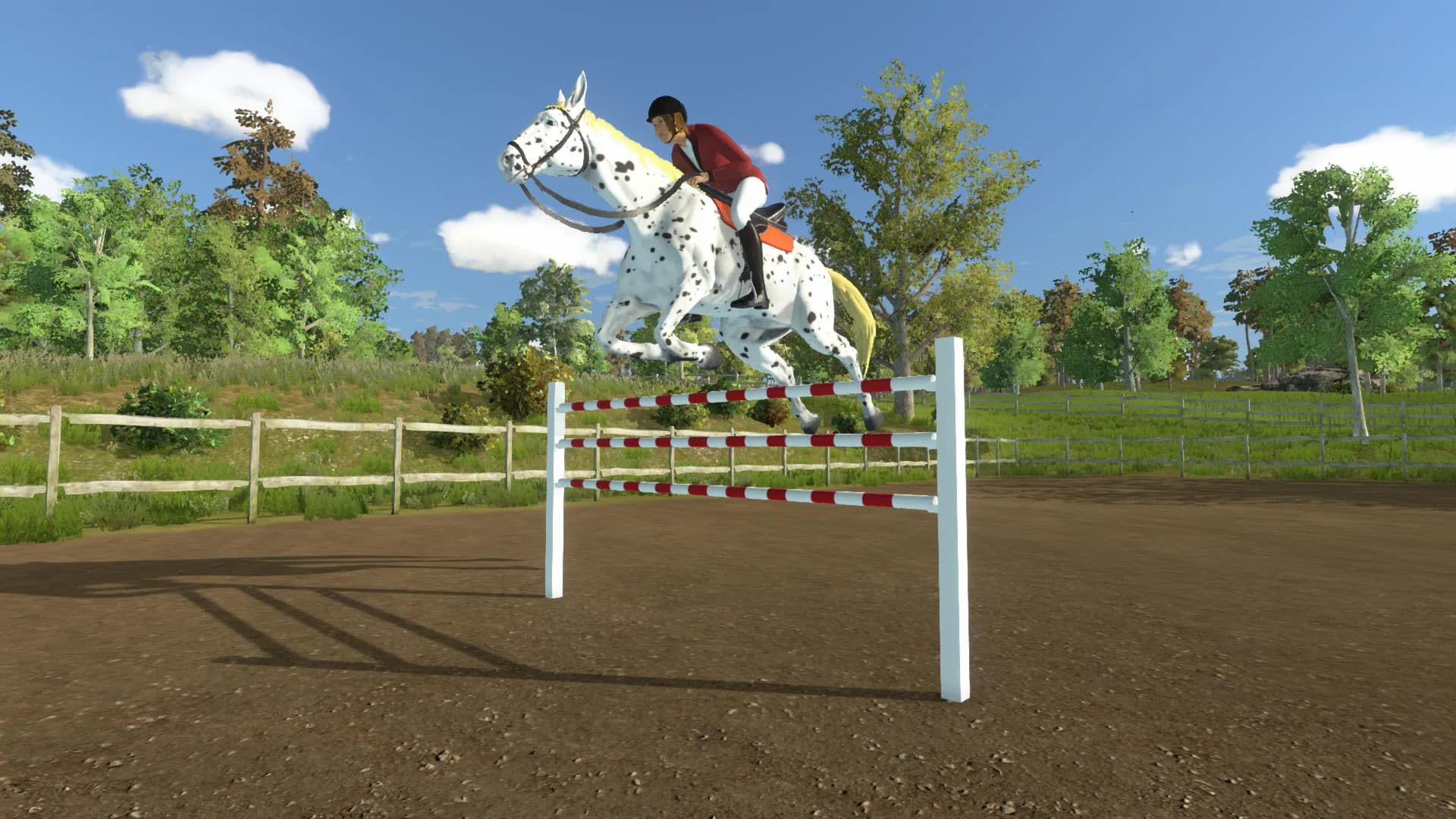 My Little Riding Champion görsel 2