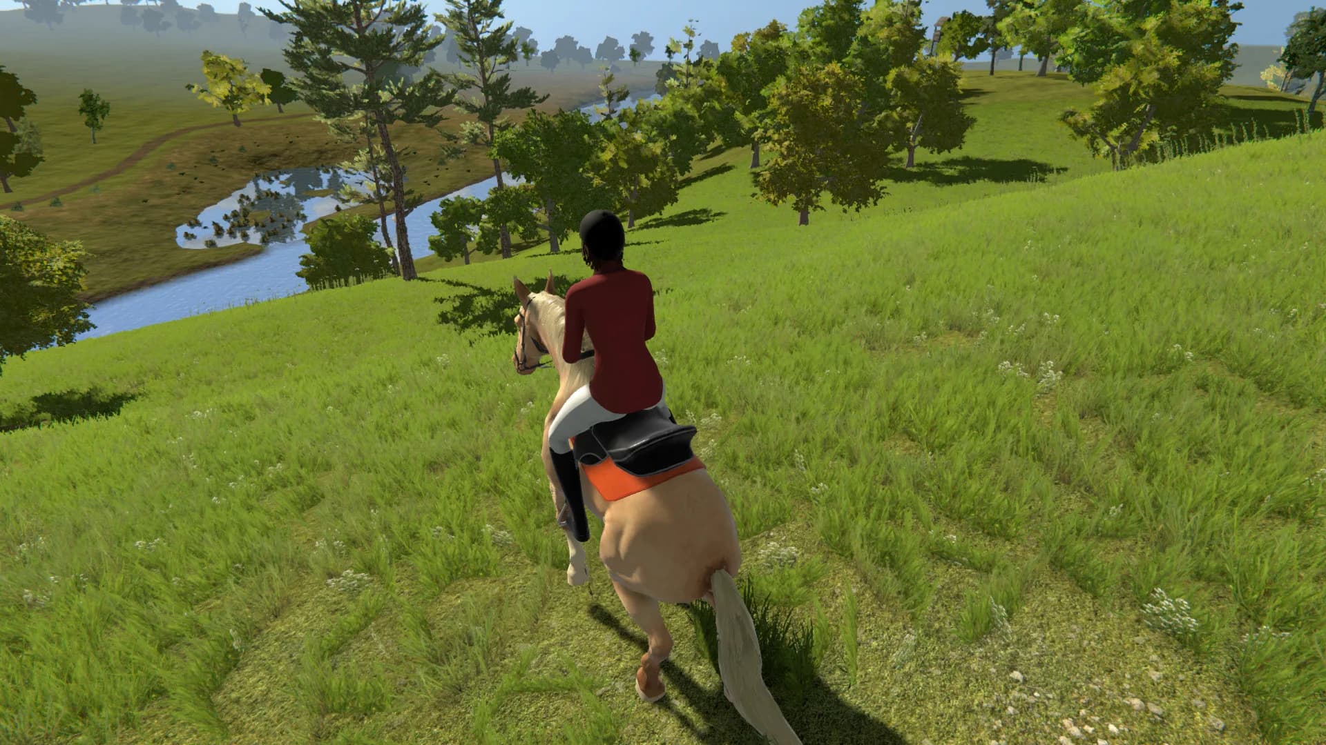 My Little Riding Champion görsel 4