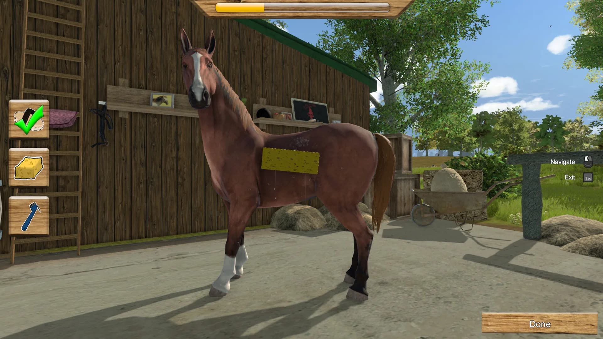My Little Riding Champion görsel 5