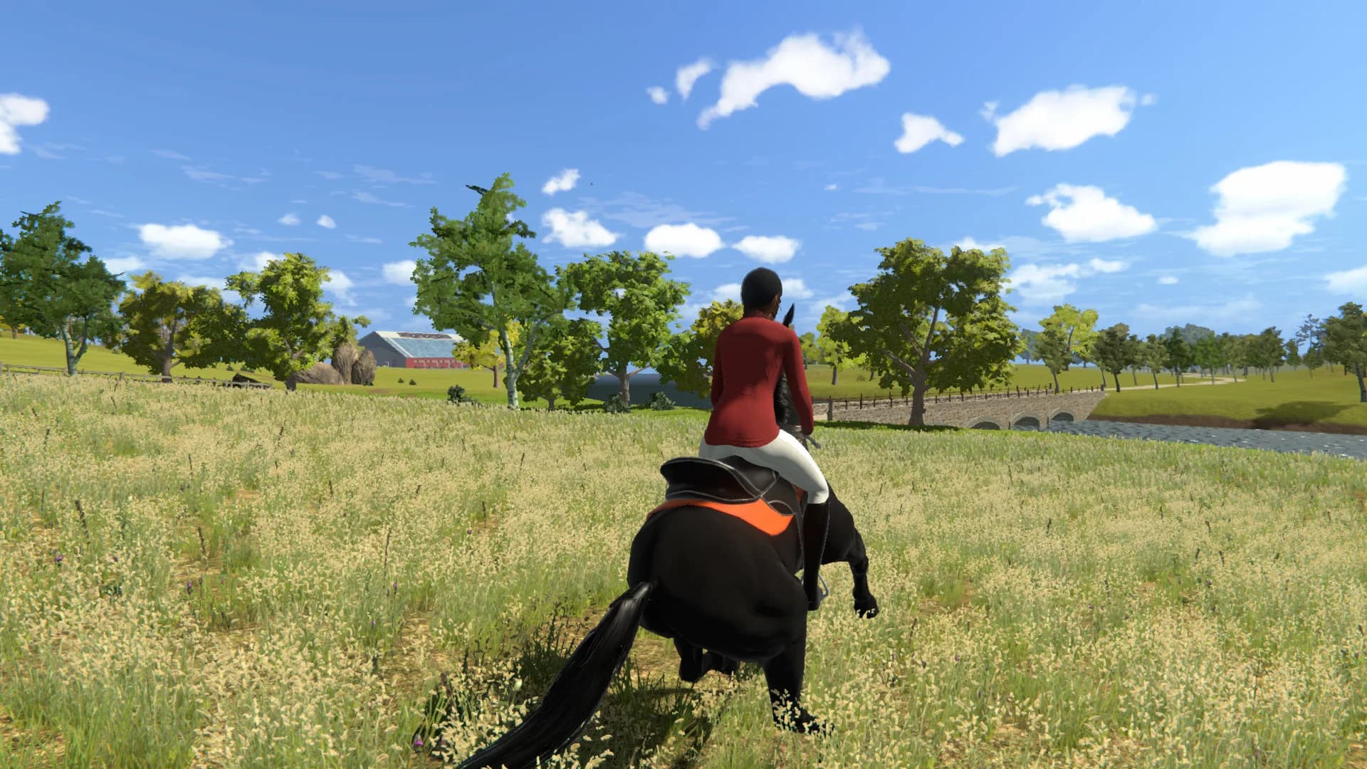 My Little Riding Champion görsel 7