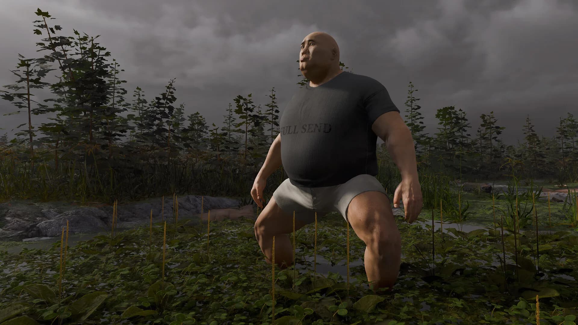 Paunch görsel 2