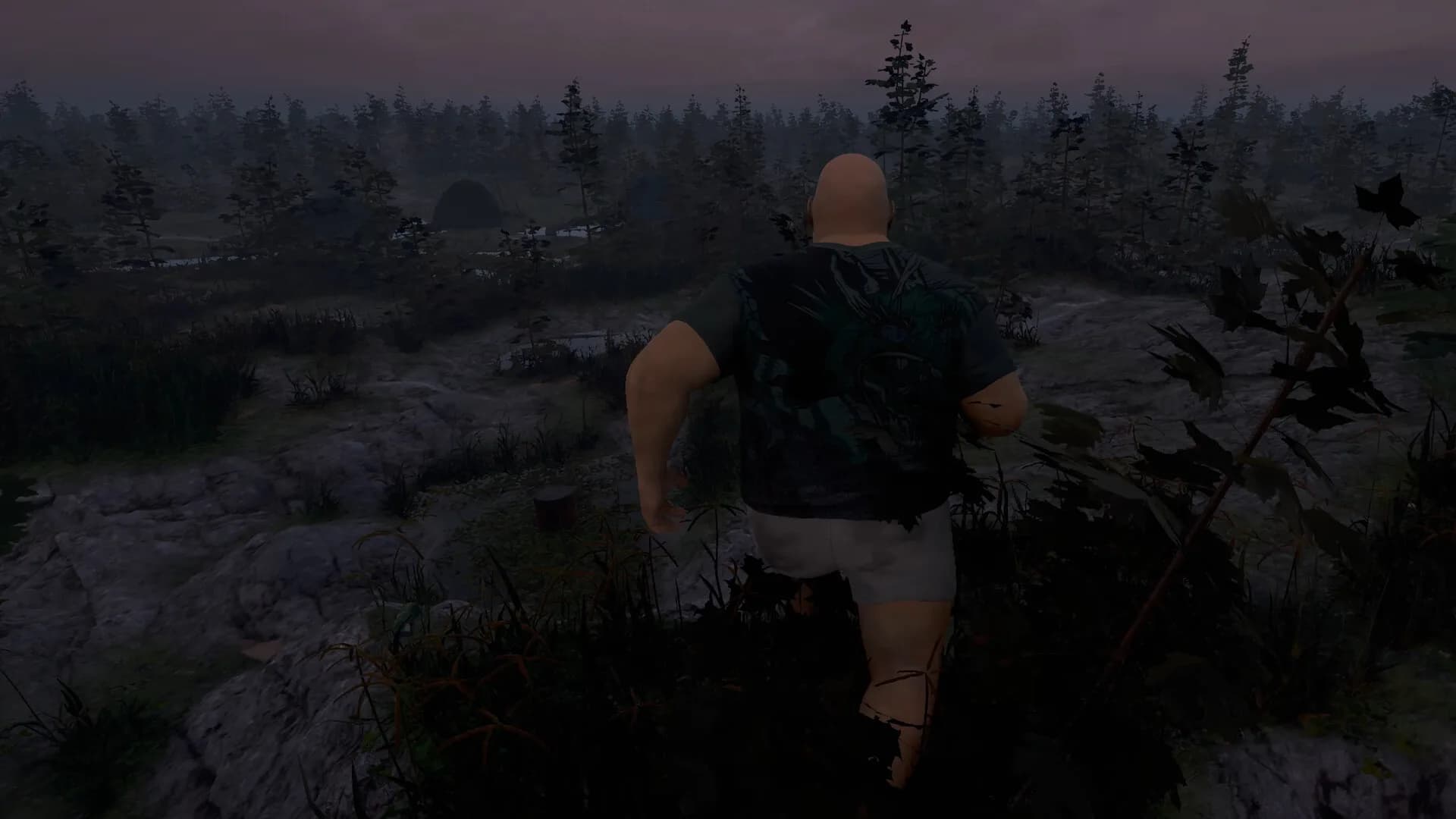 Paunch görsel 8