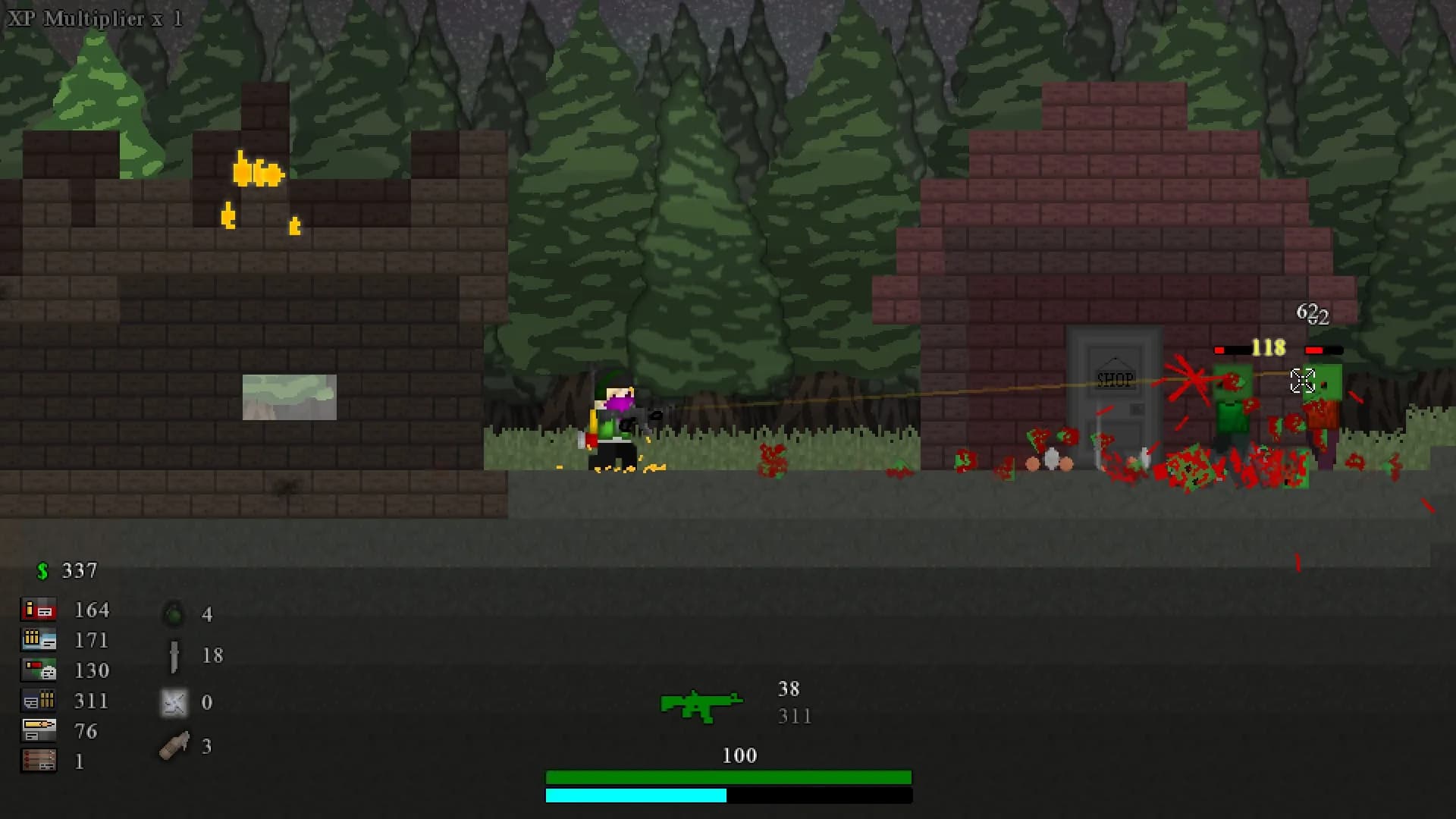 Zed Survival görsel 13
