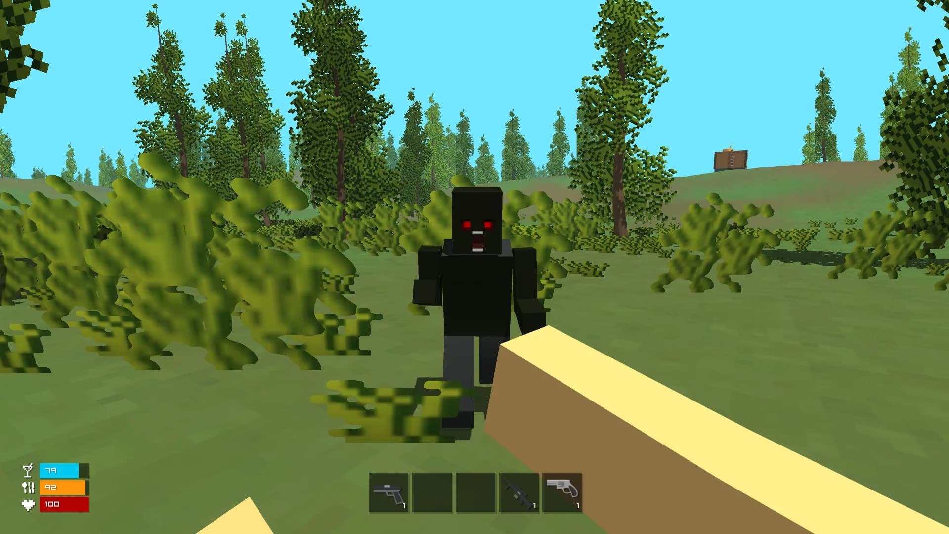 SurvivalZ görsel 8