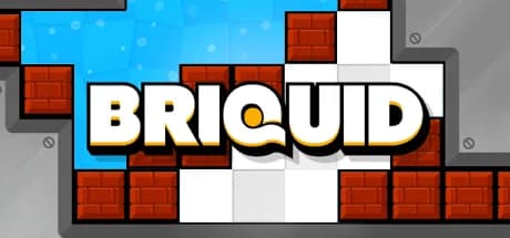 Briquid görsel 1