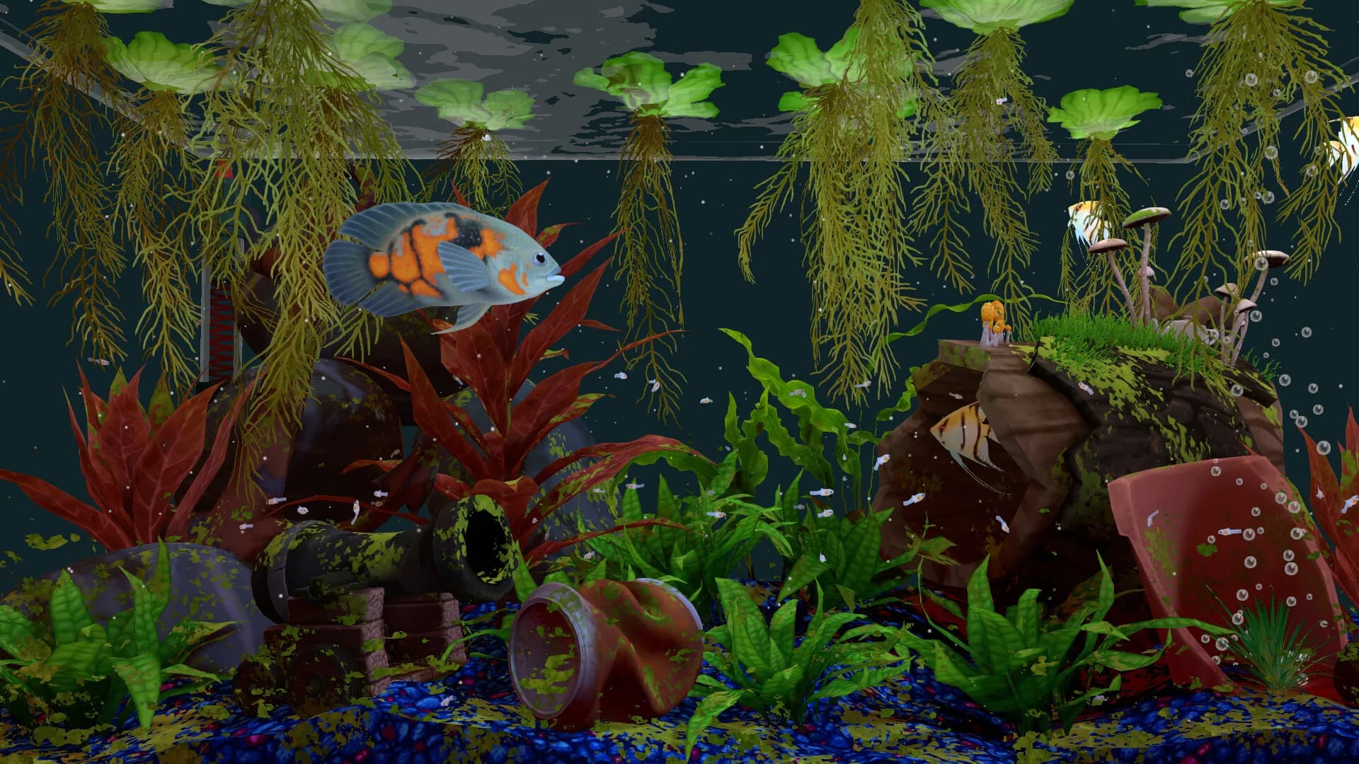 FISHERY görsel 5