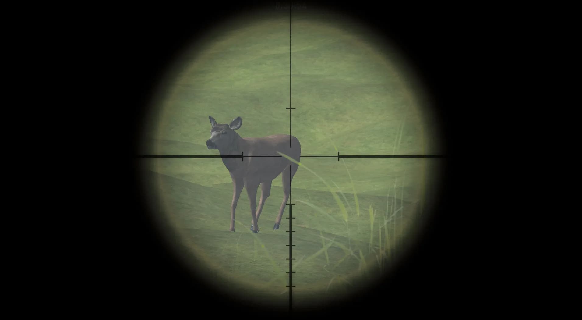 DeerHunterX görsel 3