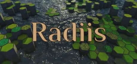 Radiis görsel 1