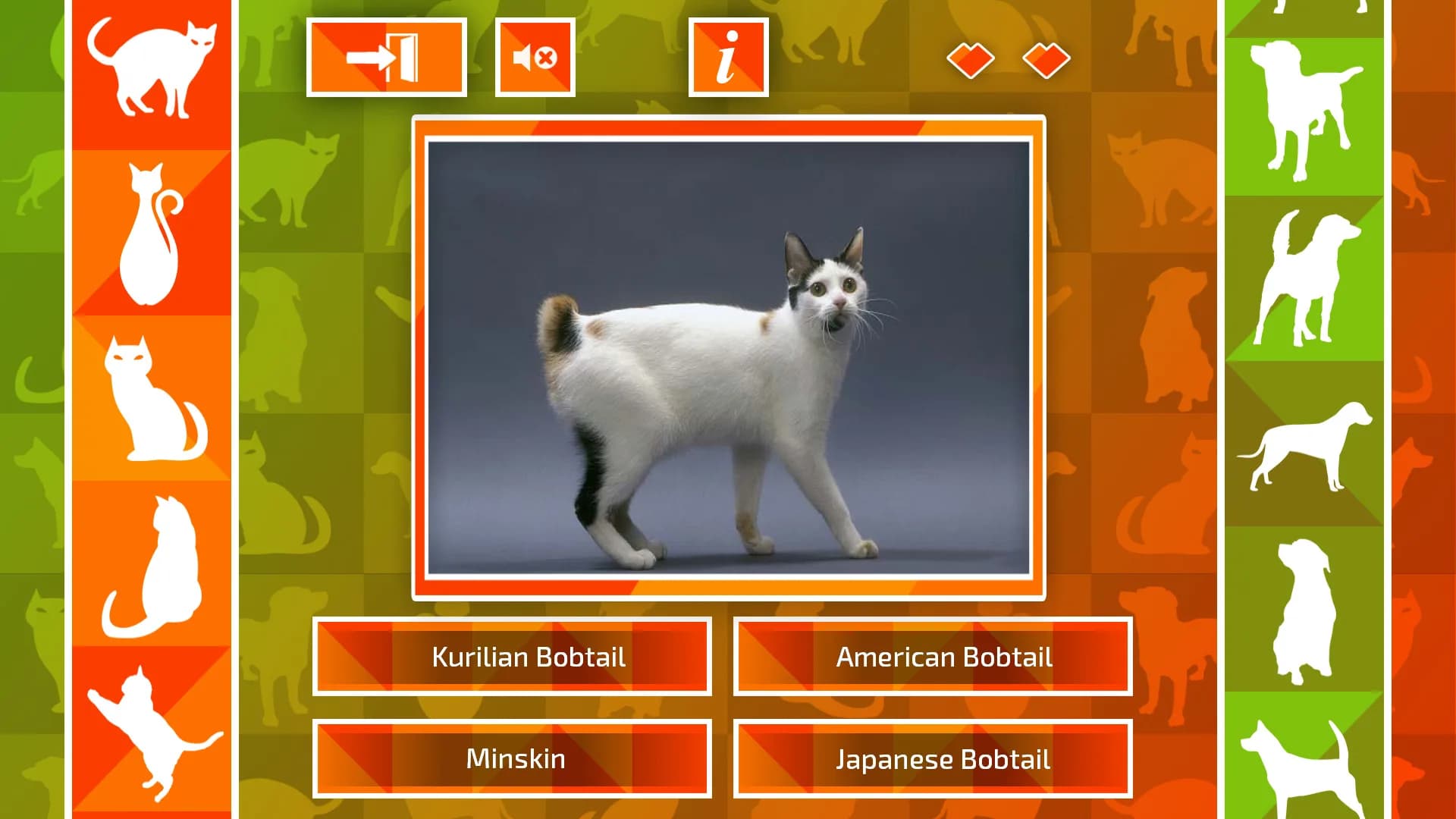 JQ: dogs & cats görsel 2