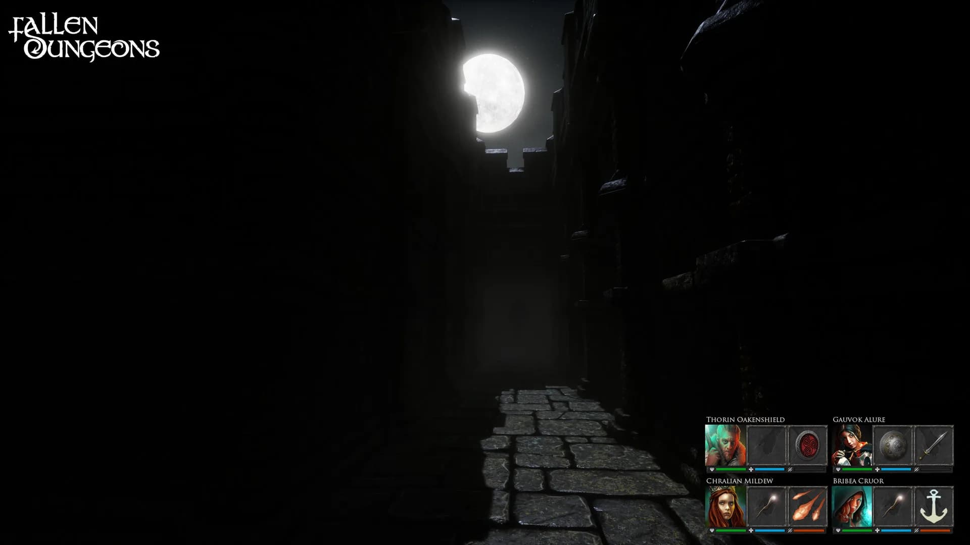 Fallen Dungeons görsel 6