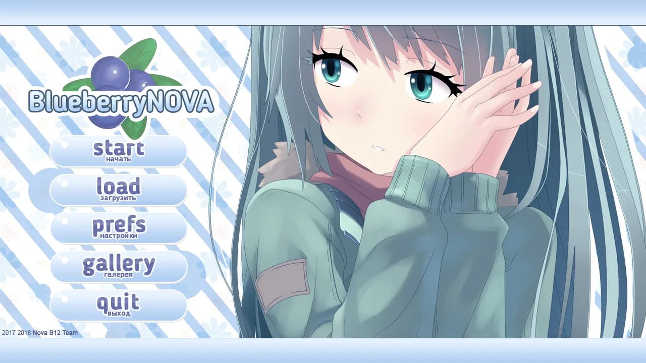 BlueberryNOVA görsel 2