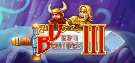Viking Brothers 3 görsel 1