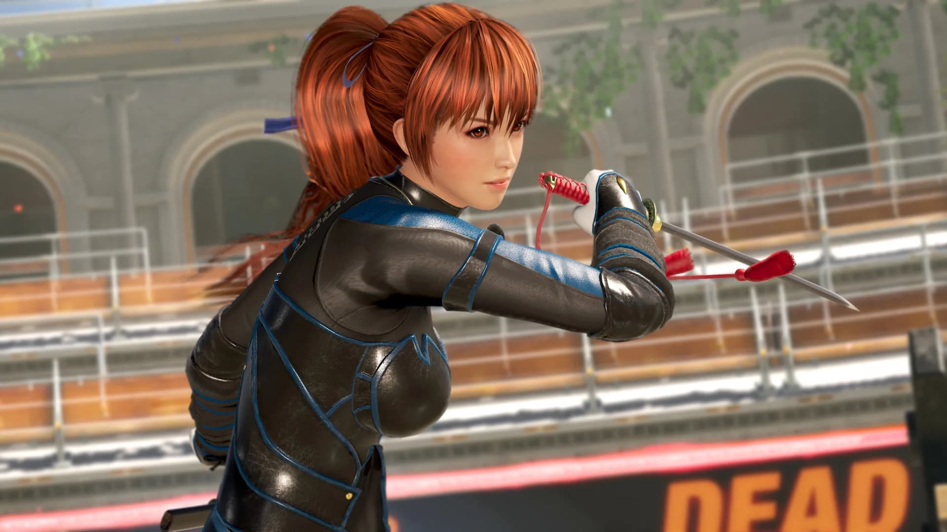 DEAD OR ALIVE 6 görsel 2