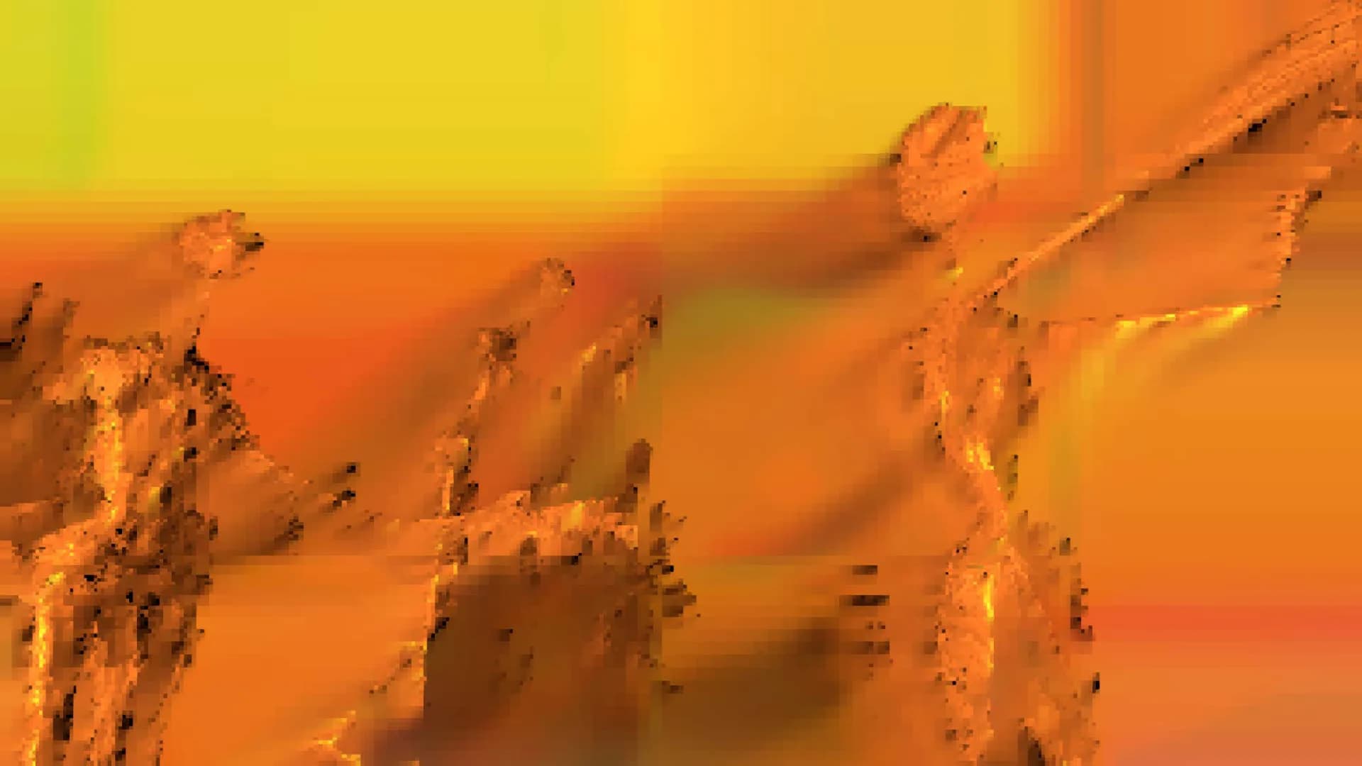 RŌA görsel 4