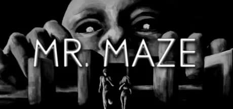 Mr. Maze görsel 1