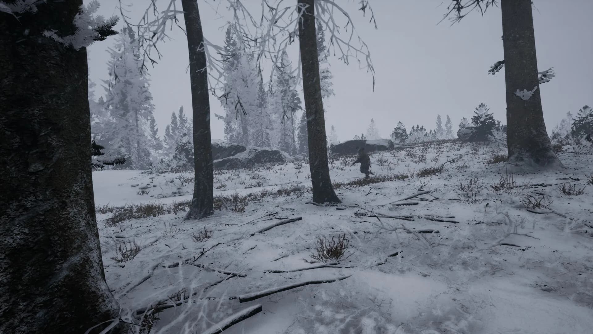 EXFIL görsel 15