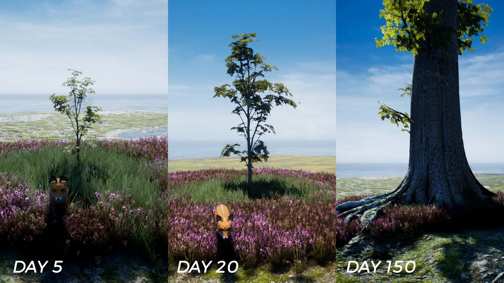 PLAYNE : The Meditation Game görsel 4