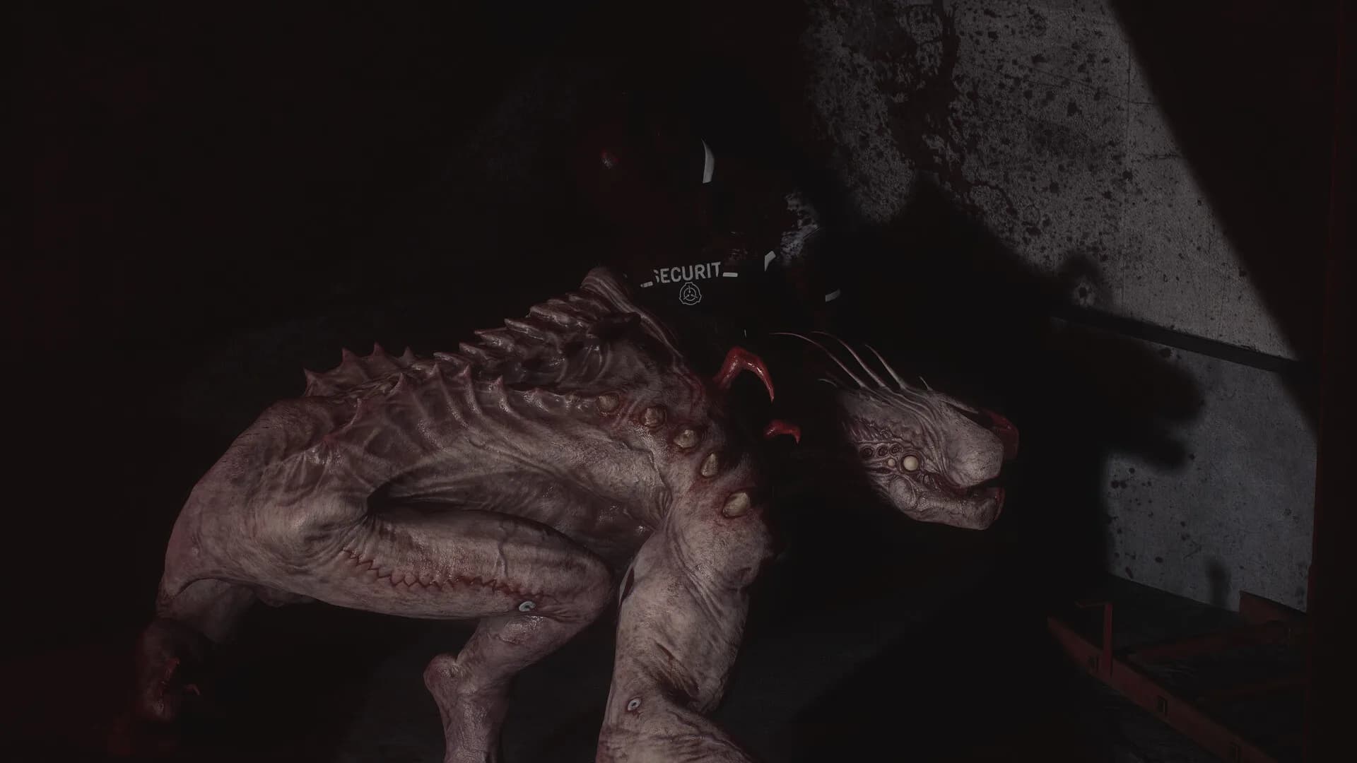 SCP: 5K görsel 2