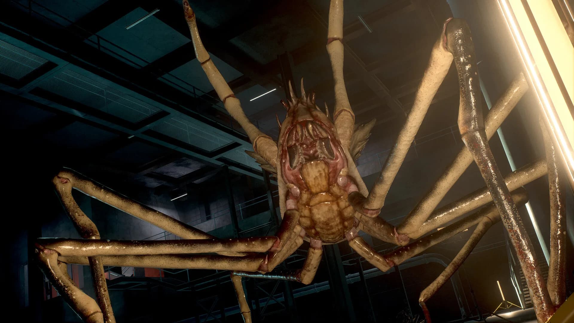 SCP: 5K görsel 14
