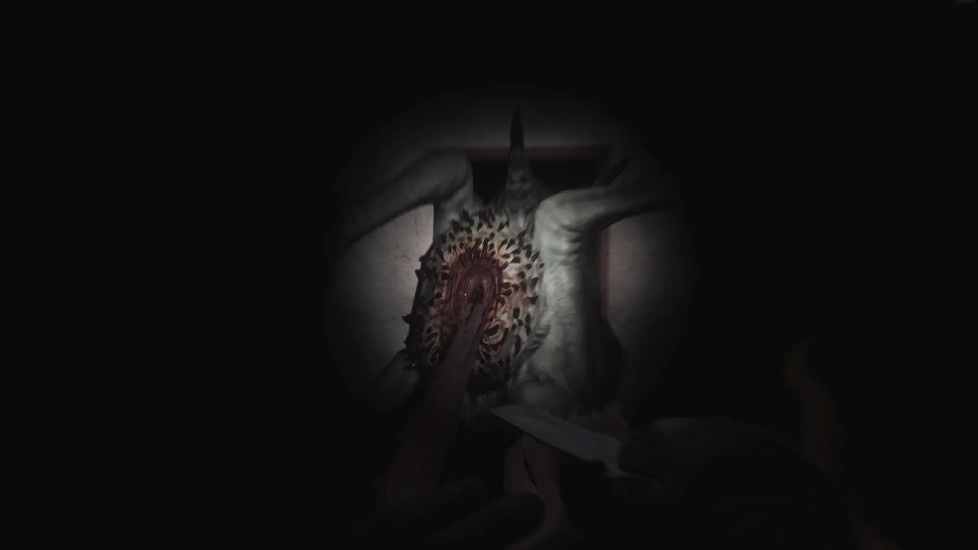 SCP: 5K görsel 4