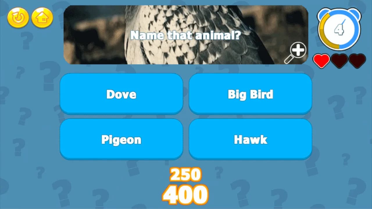 Trivia King görsel 3