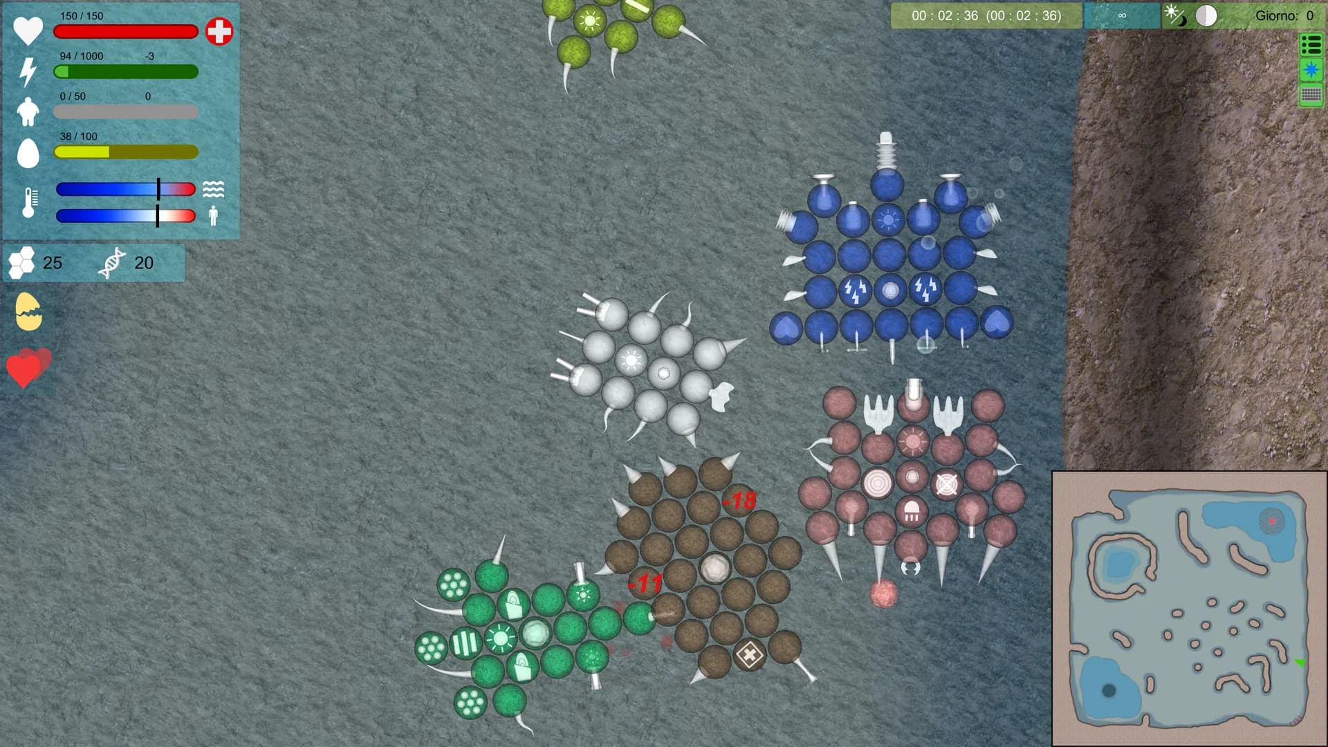 Multicellular görsel 2