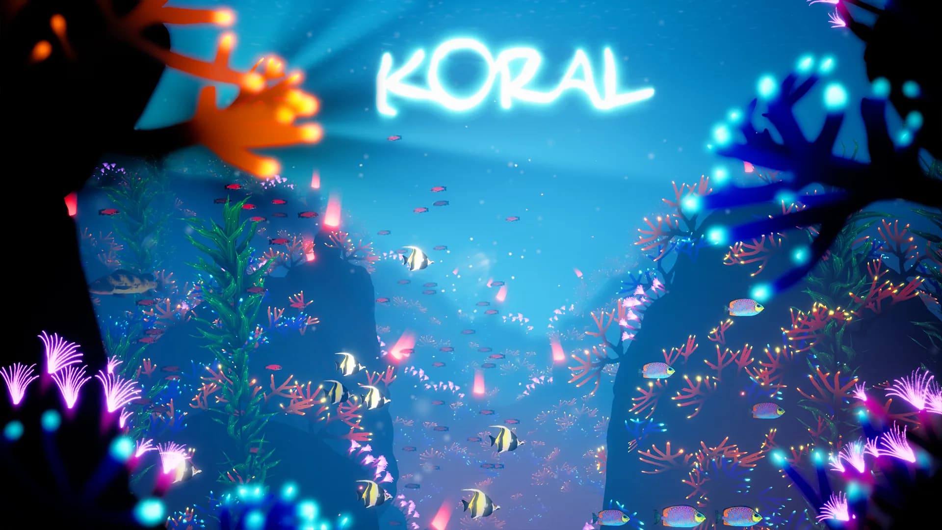 Koral görsel 8