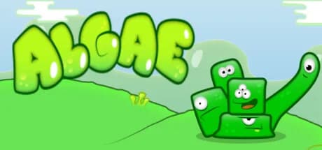 Algae görsel 1