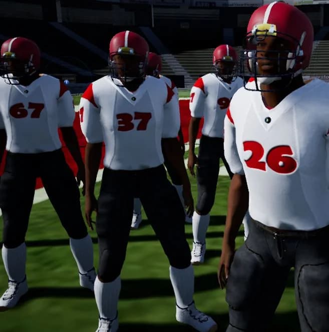 QB Sim görsel 5