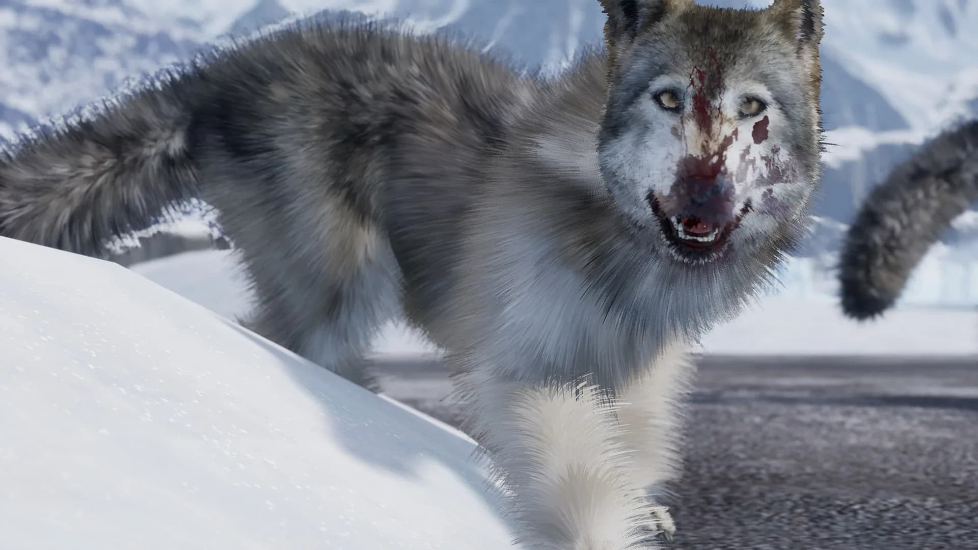 FRIGID görsel 9