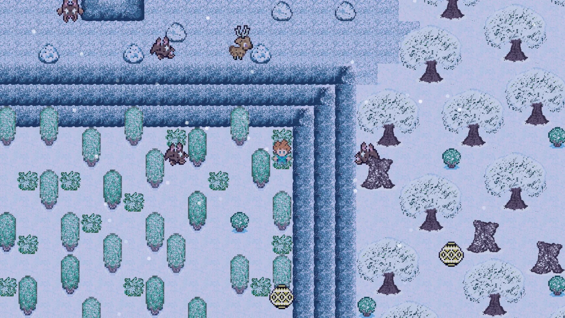 Dash Island görsel 7