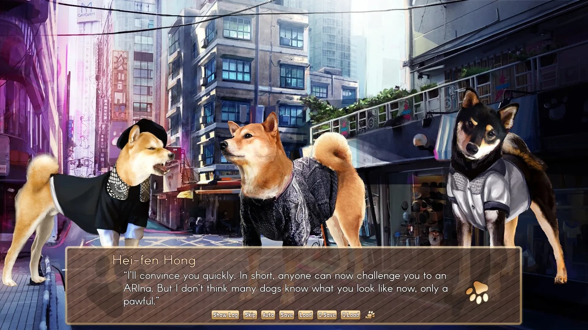 A Summer with the Shiba Inu görsel 6