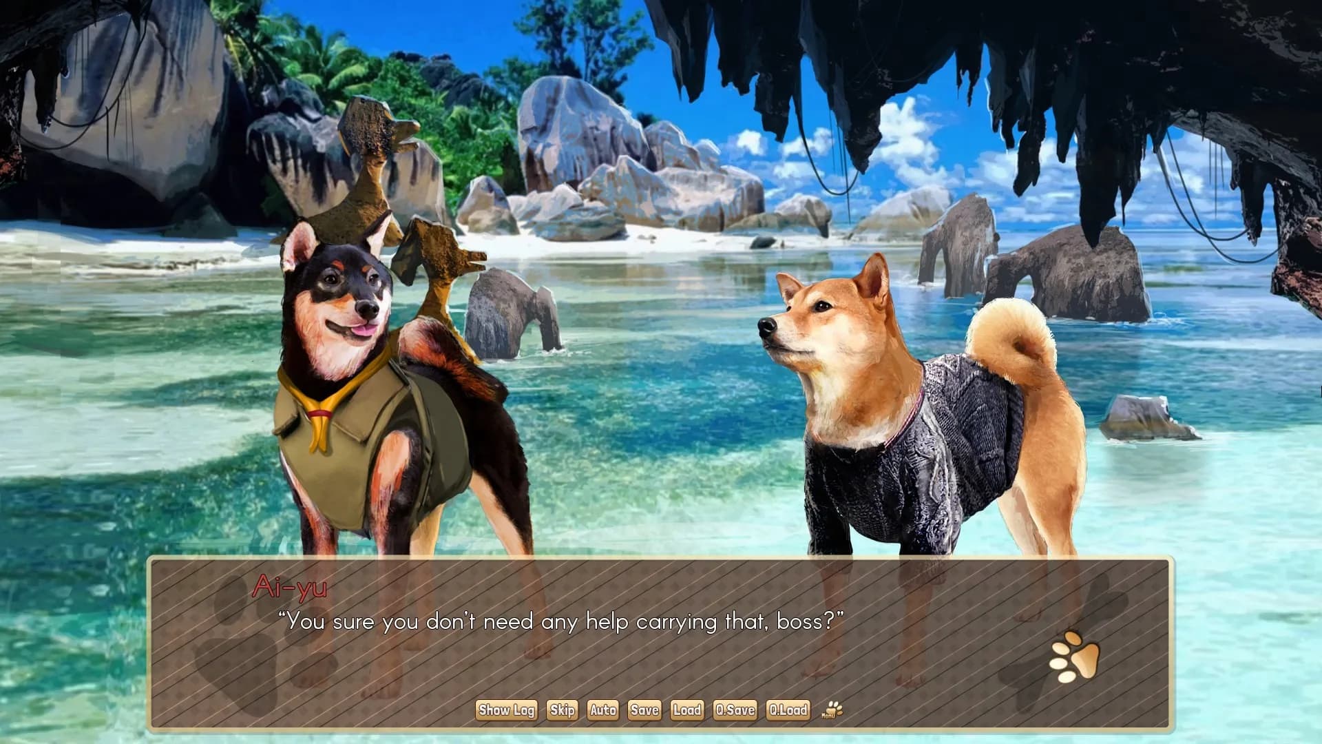 A Summer with the Shiba Inu görsel 7
