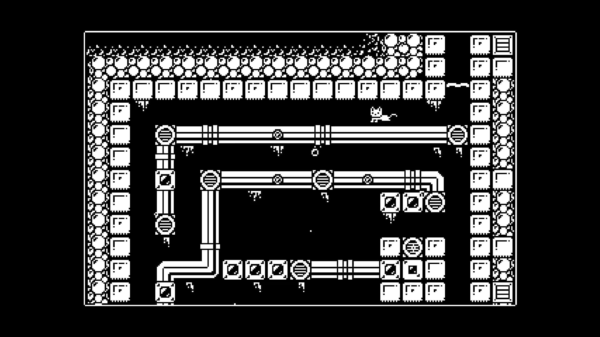 Gato Roboto görsel 17