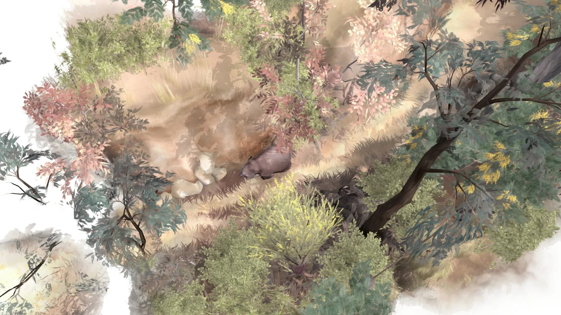 Paperbark görsel 5