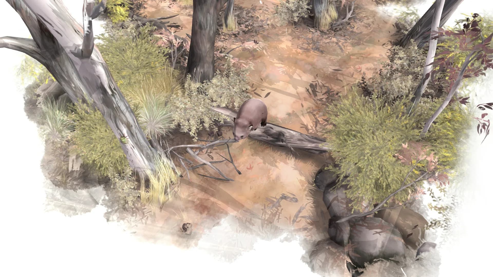 Paperbark görsel 7