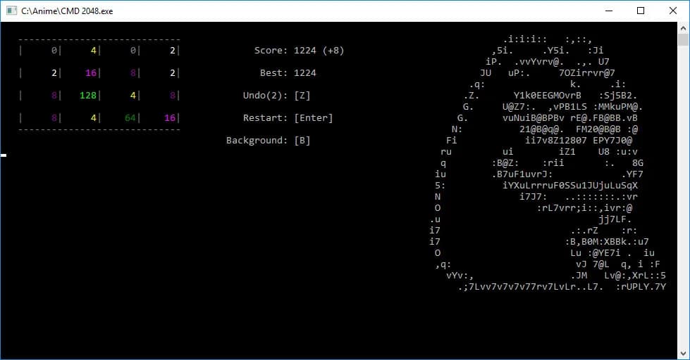 CMD 2048 görsel 3