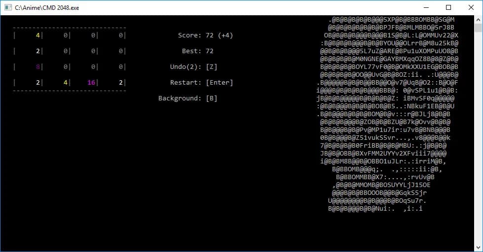 CMD 2048 görsel 5