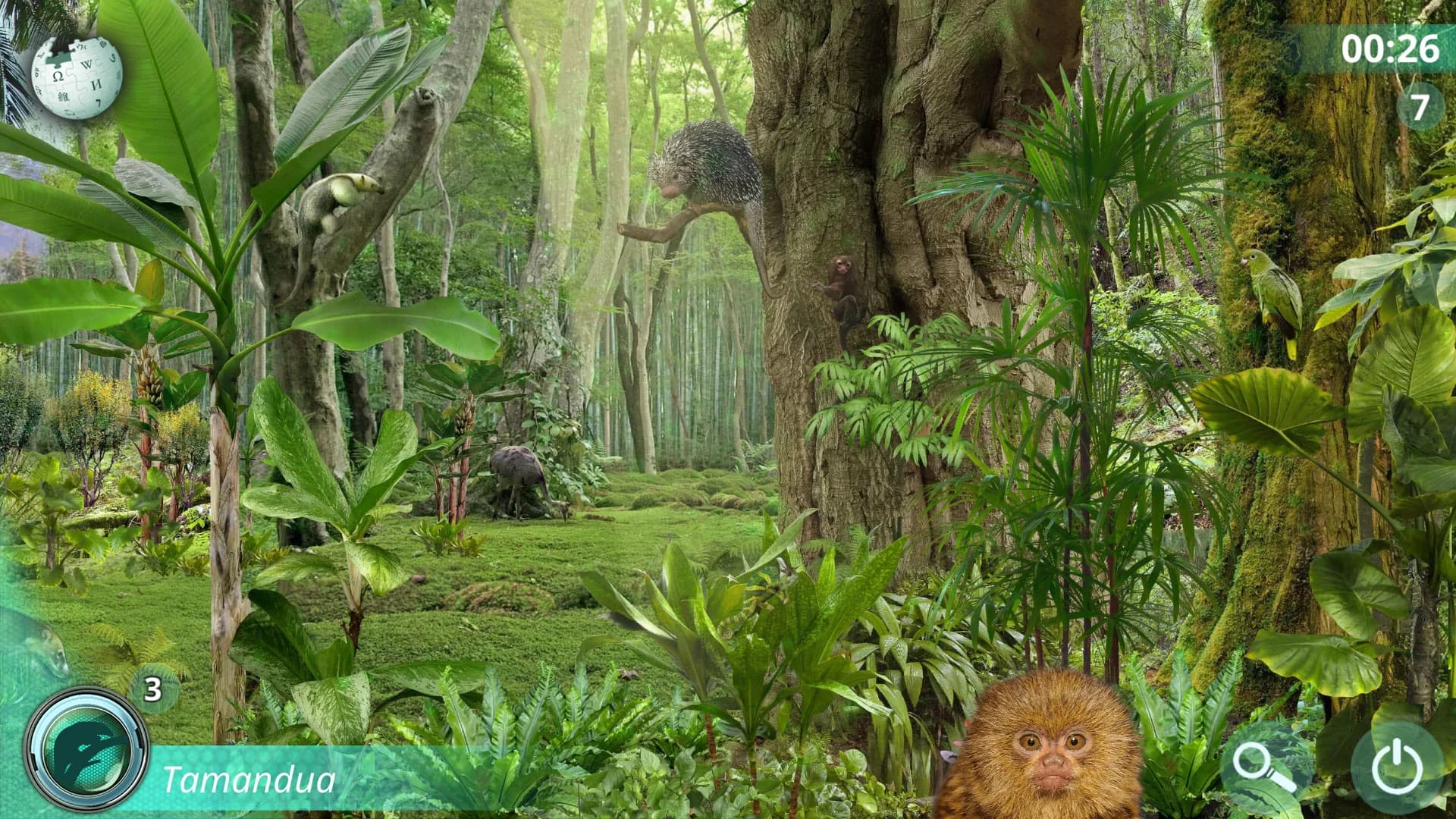Hidden Animals: Photo Hunt. Seek and Find Objects Game görsel 6