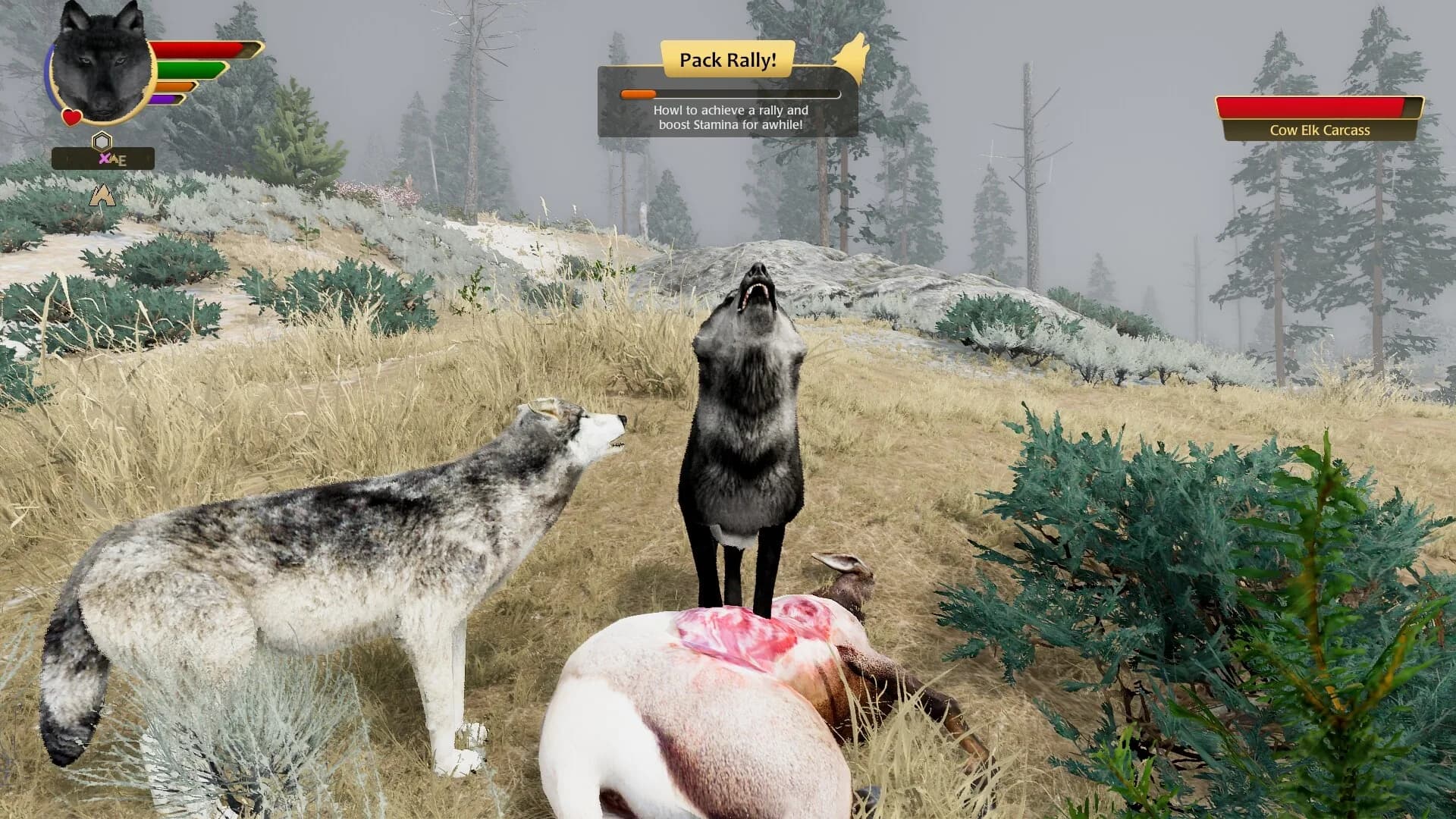 WolfQuest: Anniversary Edition görsel 19