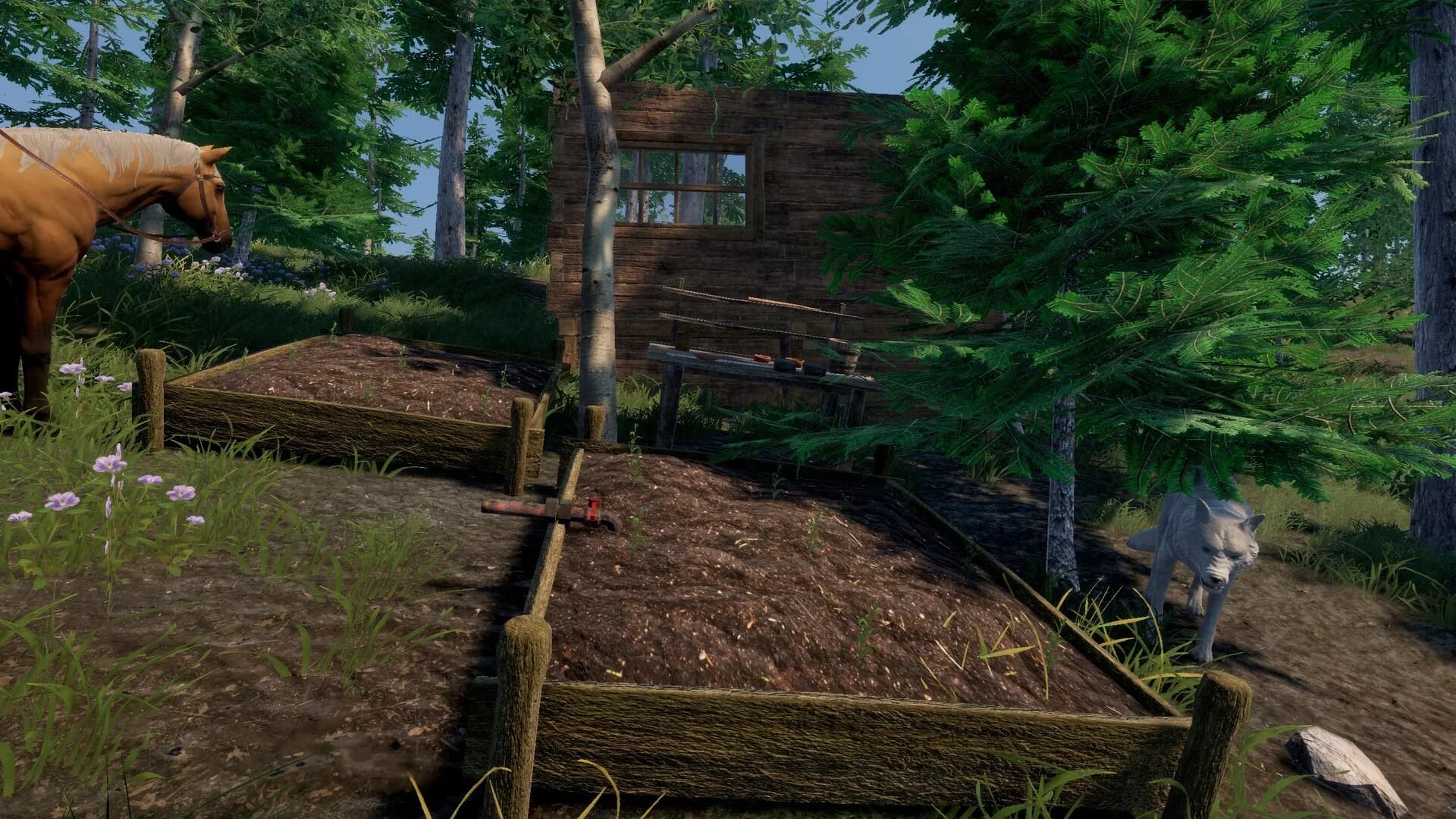 Trials of Wilderness görsel 4