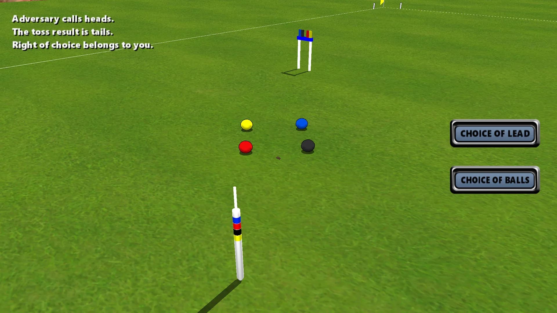 Croquet Pro 2 görsel 4