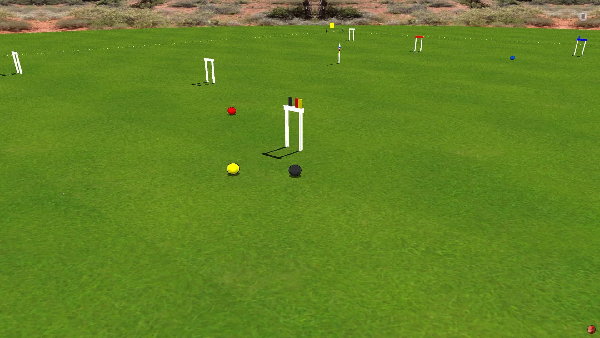 Croquet Pro 2 görsel 6